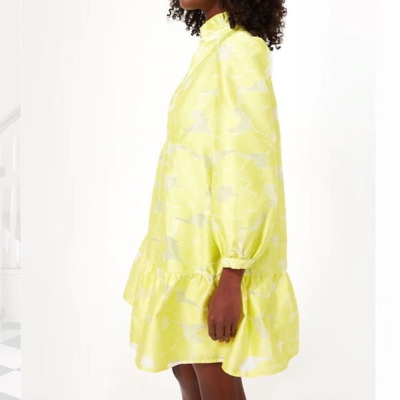 Tuckernuck Citron Fil Coupe Palmerston Dress Sizes various NWT - Picture 4 of 7